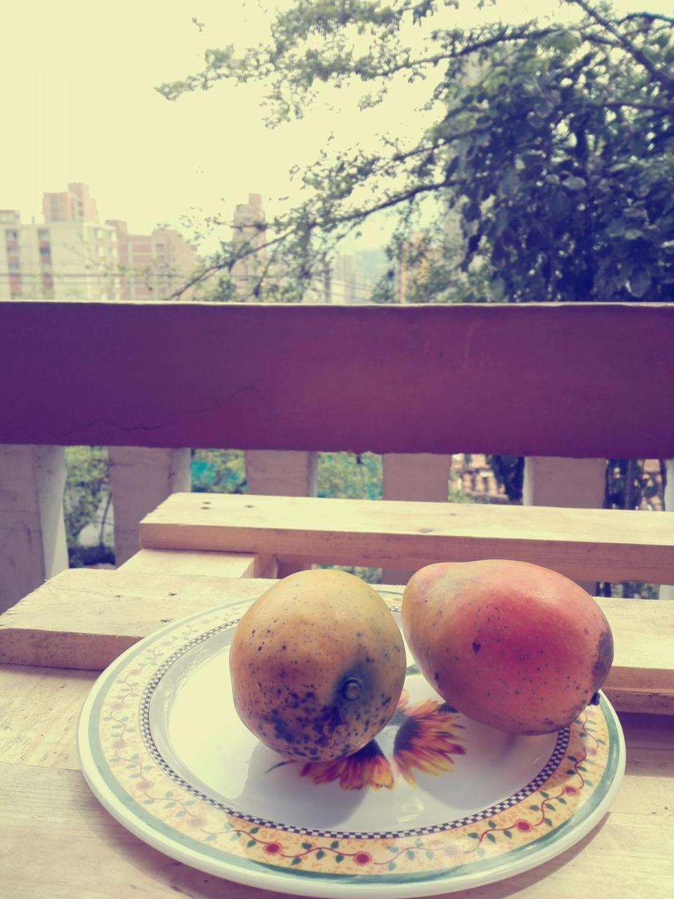 מדיין Raiz Hostel מראה חיצוני תמונה